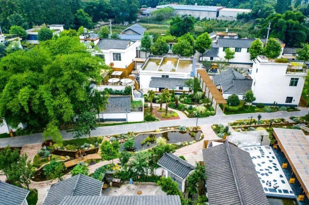 龚村——丹棱幸福古村——洪雅桑果园——洪雅青杠坪·茶客空间