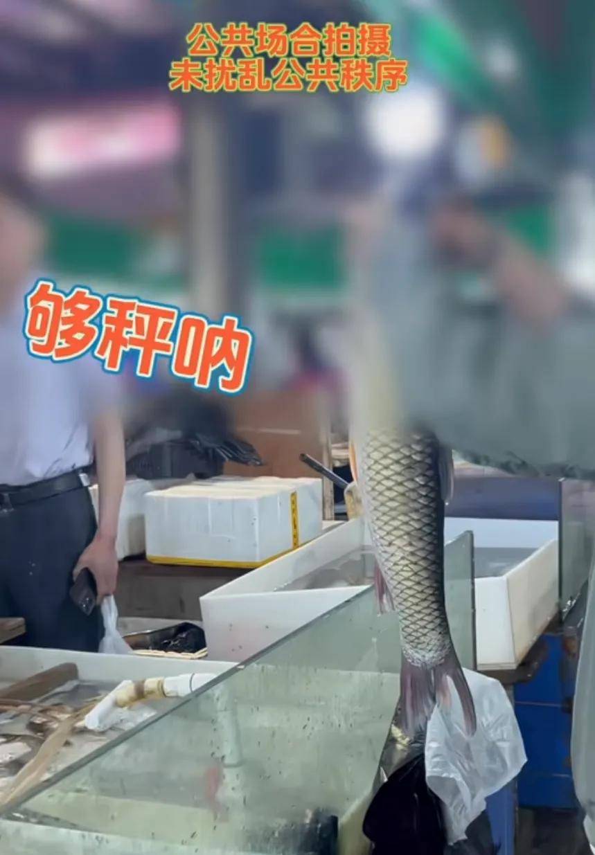 前两天打假博主,去到南京金宝农贸市场,在一个鱼摊前揭穿了商贩缺斤少