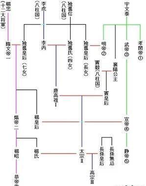 这六大柱国将军才是代表着关陇贵族集团的军事重将