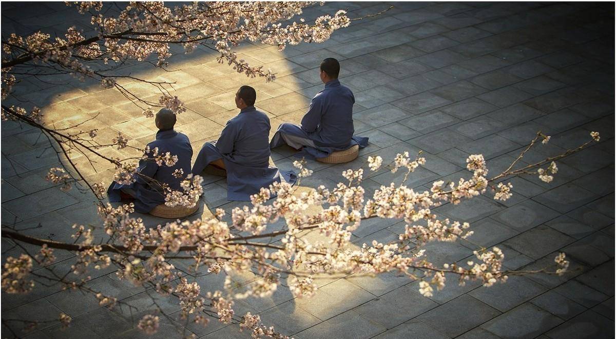 "唐代出家入道观的女道士,从数量上讲远远比不上佛教尼姑的,但是人数