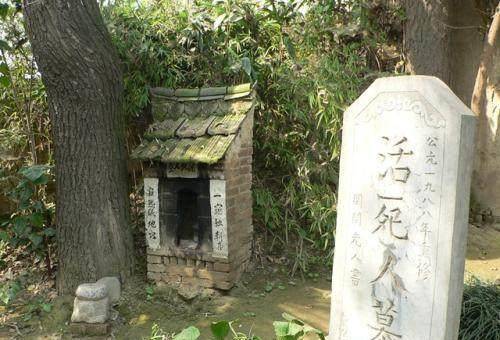 此处是活死人墓地,考古专家看见一幕,决定永久关闭