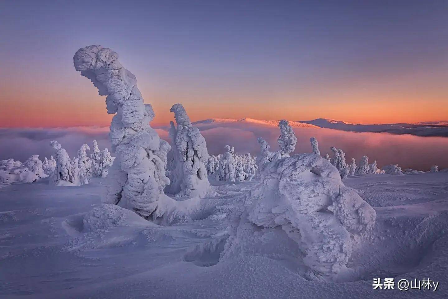 世界金奖摄影作品,把握事物美好的精彩瞬间