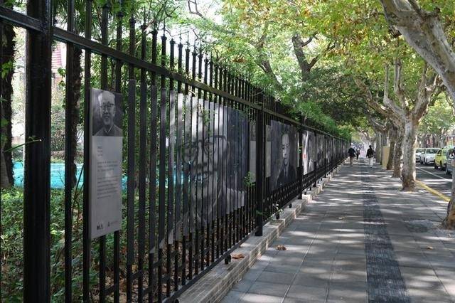 别样citywalk促梧桐树下的孩子们快乐成长