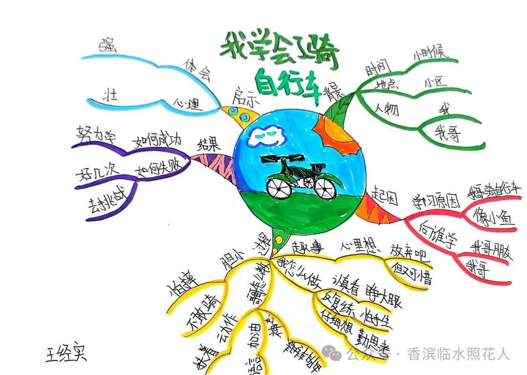 【思维导图作文——四年级下册《 我学会了——》】杨佳雯《我学会了