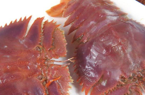 琵琶虾多少钱一斤图片