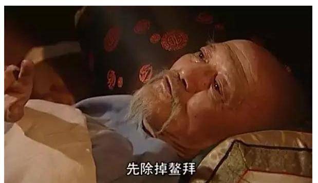 没有他的临终献策,康熙可能不会如此顺利地除掉鳌拜,他是谁?