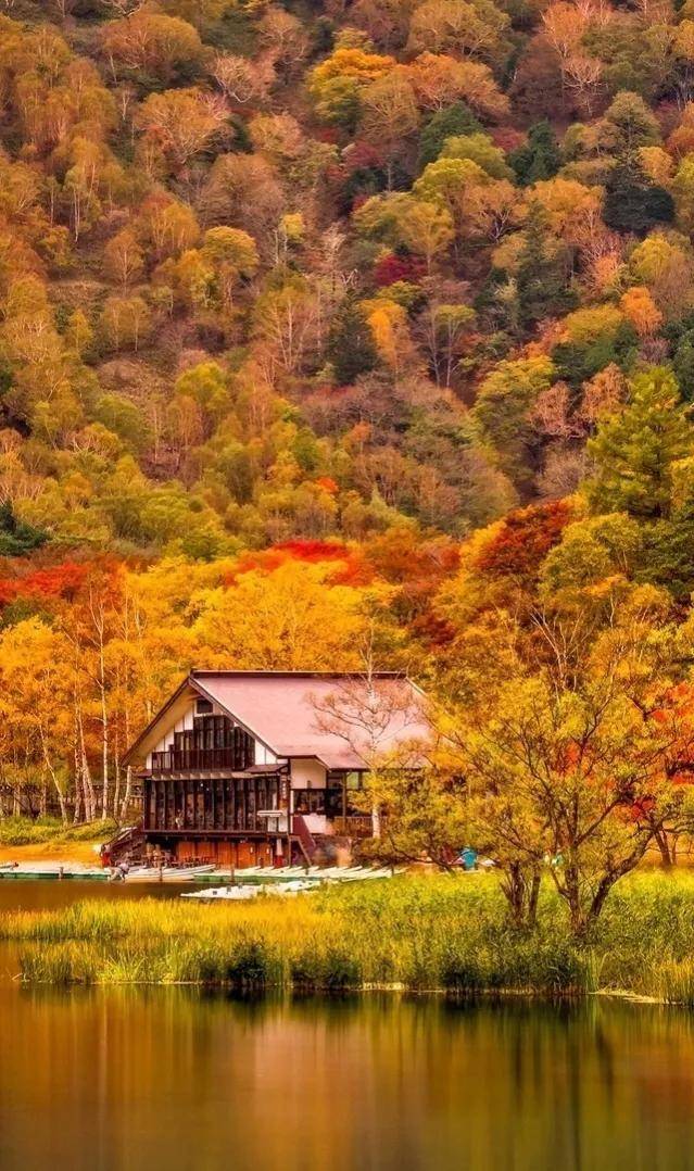 顶级绝美秋色美景,绚丽迷人