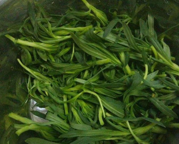 它是菜也是药,老一辈曾靠它"填肚子",能止咳凉血,但少有人知_野菜