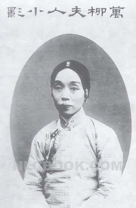吴芝瑛吴芝瑛(1867一1933) ,女,字紫英,别号万柳夫人,桐城县高甸人,近