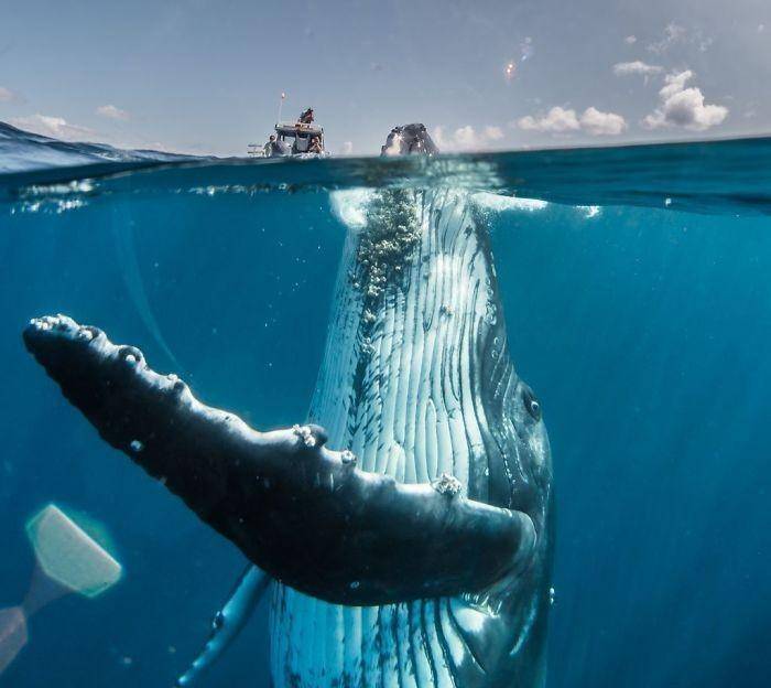 2019年国家地理旅游摄影大赛进入决赛的30张照片