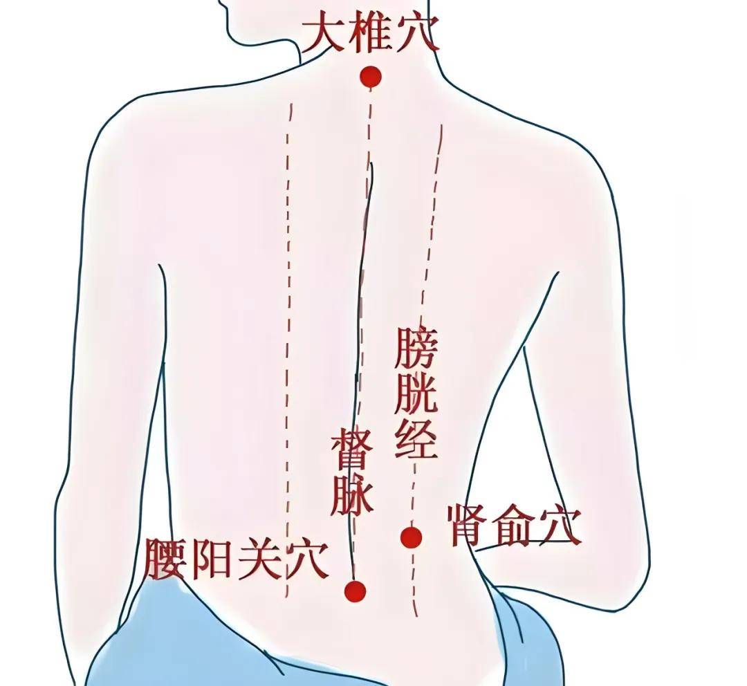 肩部经络走向图图片