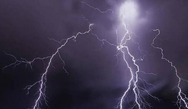 马尔库斯_克劳迪乌斯·庞_莱亚