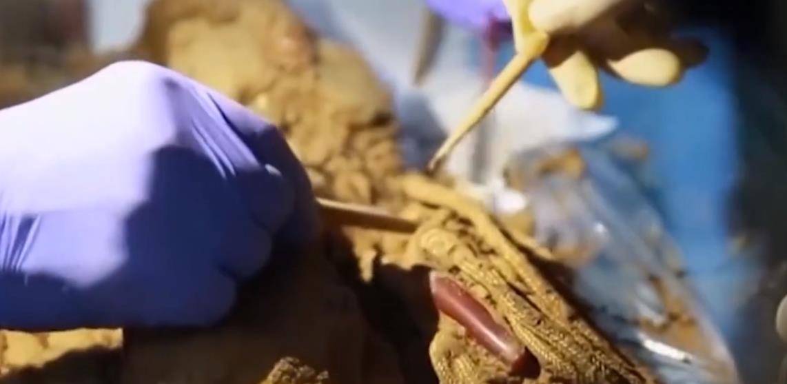 现完颜阿骨打陵墓,皇陵陪葬寒酸,竟是天启帝下令盗墓_带着_墓葬_石棺