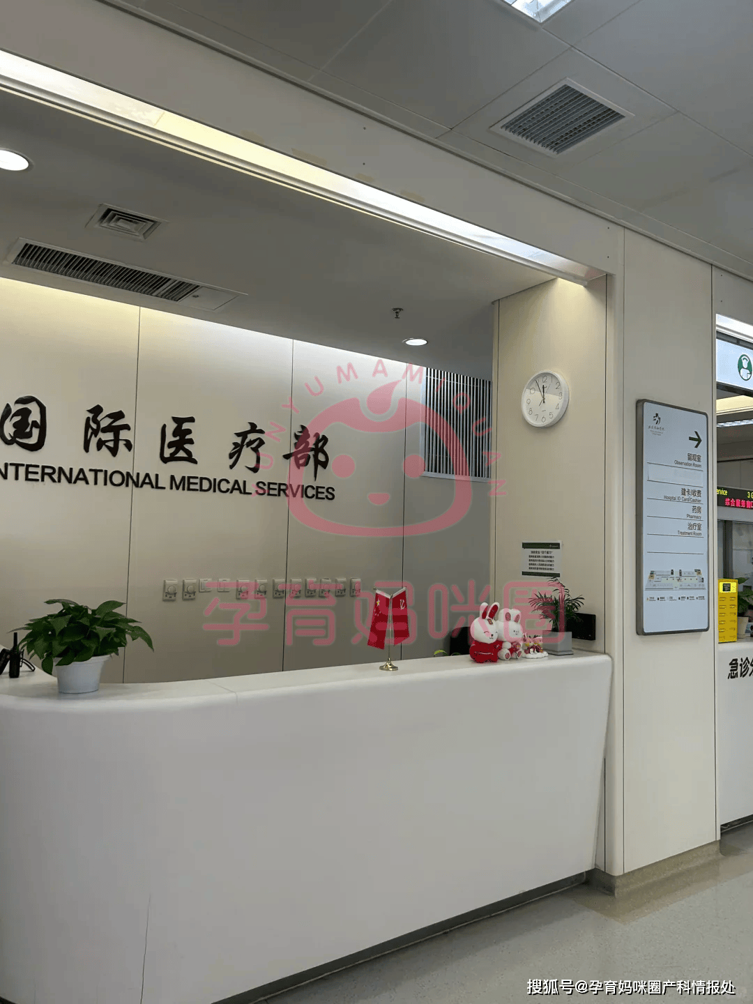 协和医院普通部or国际部产科建档,病房,产科服务优劣势,如何选择?