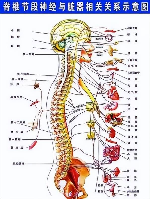 颈椎病的10个早期症状