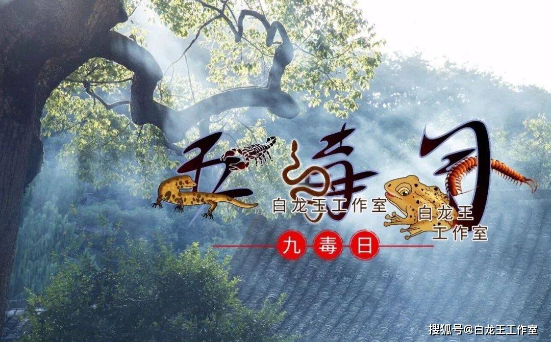 端午节,打造下半年好运磁场!