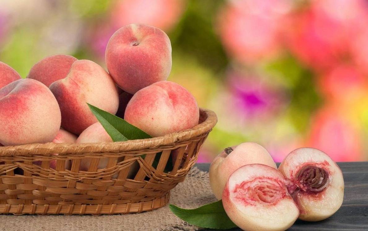 "桃养人,杏伤人,李子树下埋死人",这话怎么理解,有道理吗?