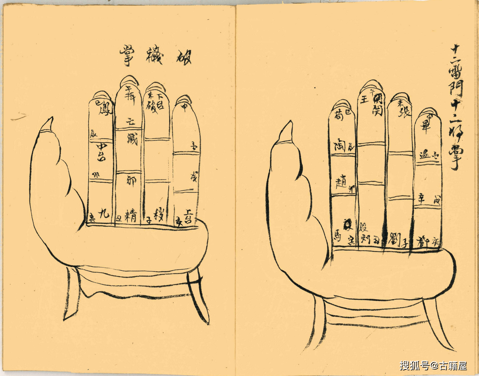 道家古籍《掌诀》清抄本