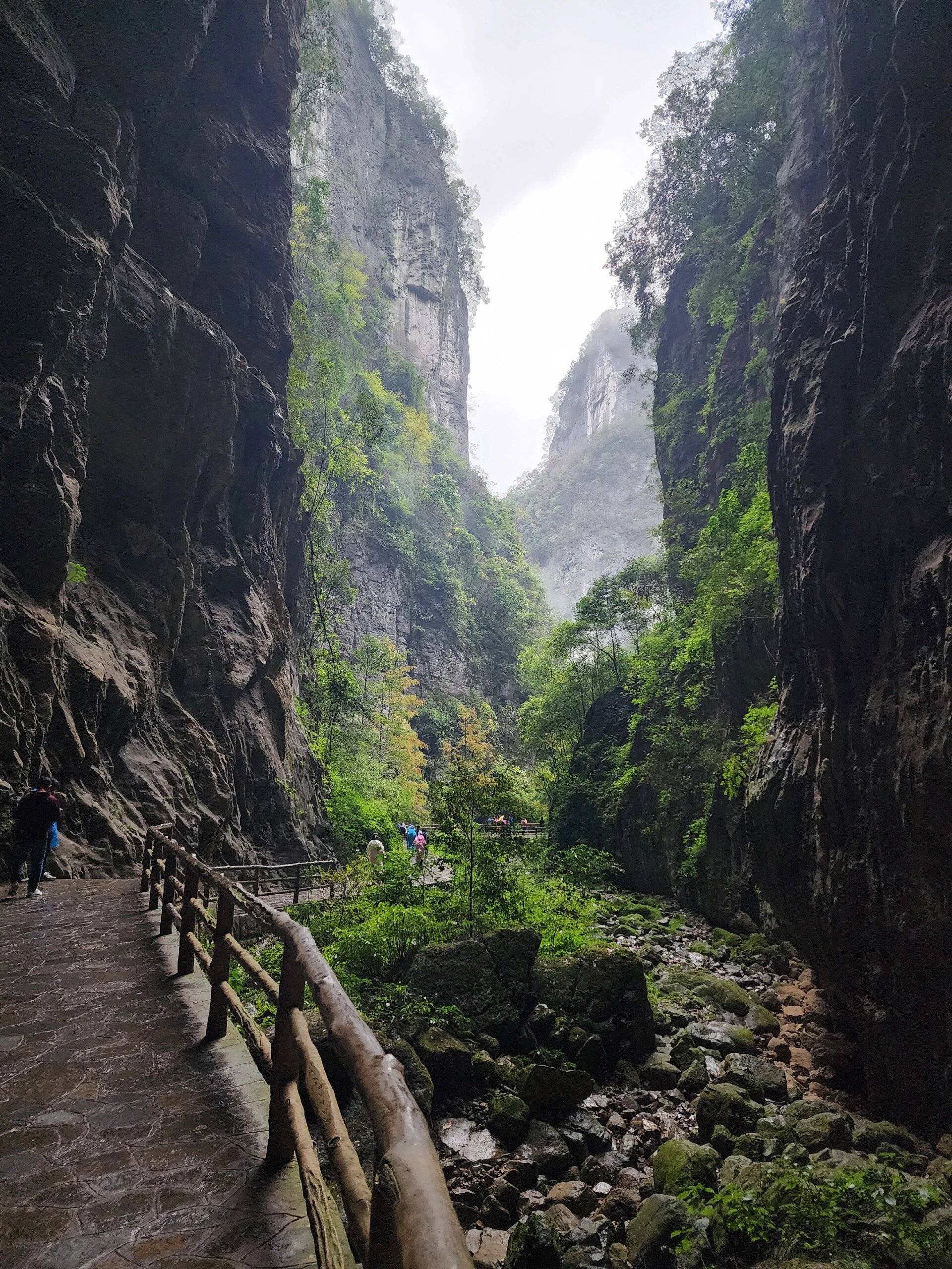 重庆大坪网红景点图片