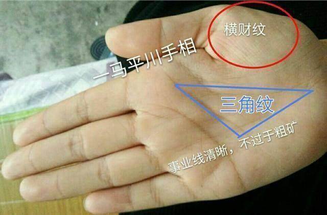 事实上,这只是为了证明手掌.有三角形线条的人一定会过上殷实的生活.