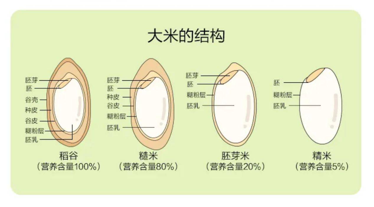 选胚芽米时,发黄是选错了吗?是不是智商税?