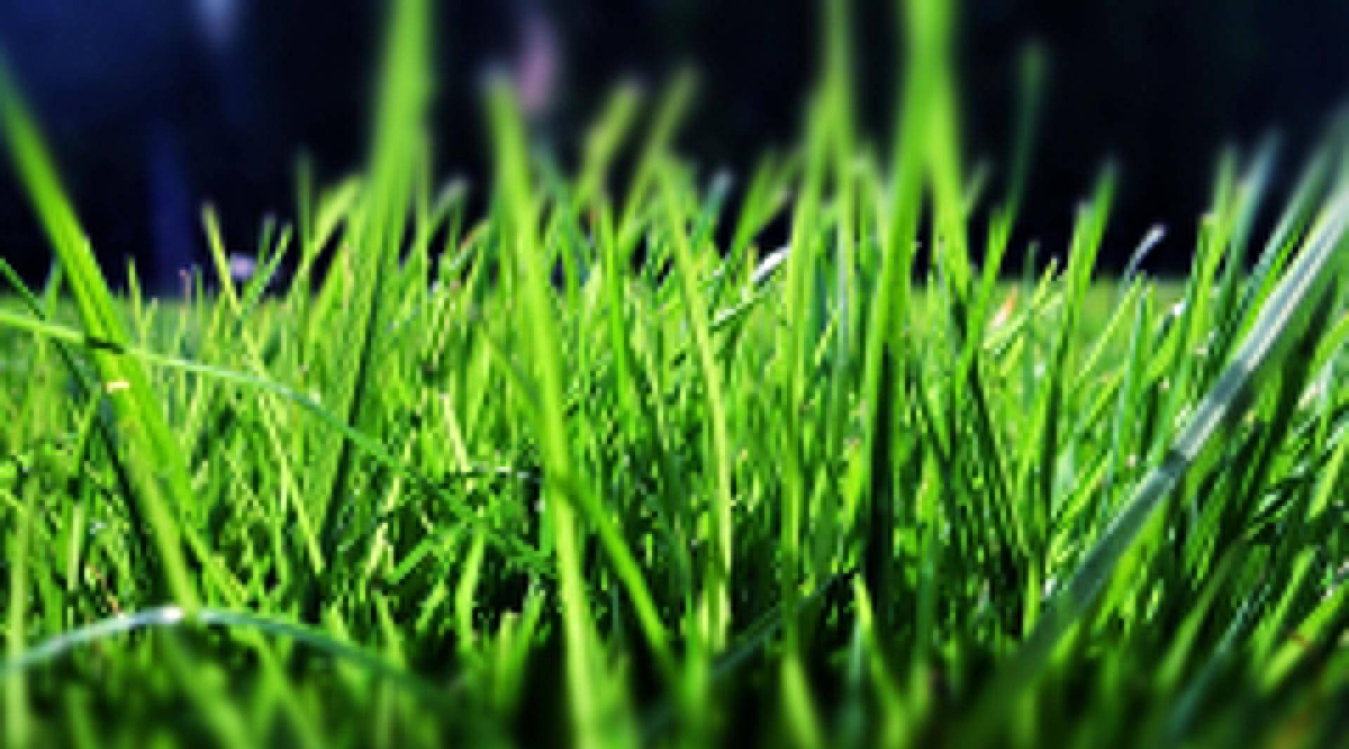 颜色之说:"绿"字加上"帽子"变贬义,为何绿色在古代有两面性