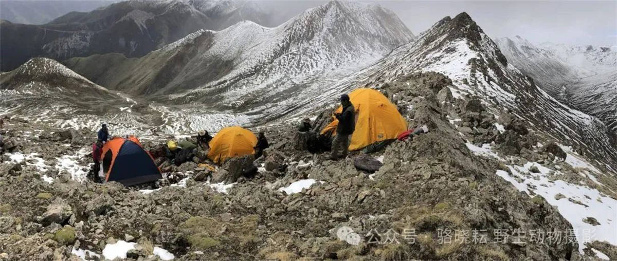 中国西部图片库·人物|吕玲珑:风光之美,美在忧伤