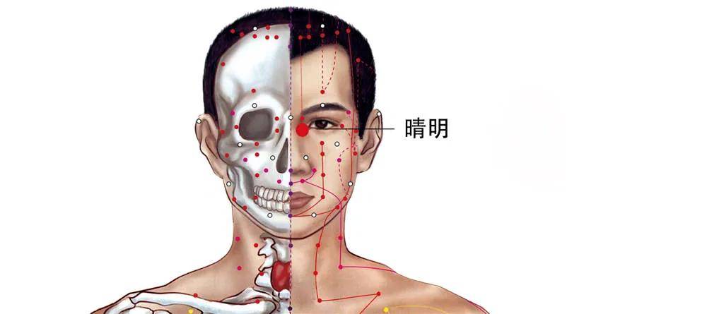 包含武汉市中医院北京看病指南必知的词条