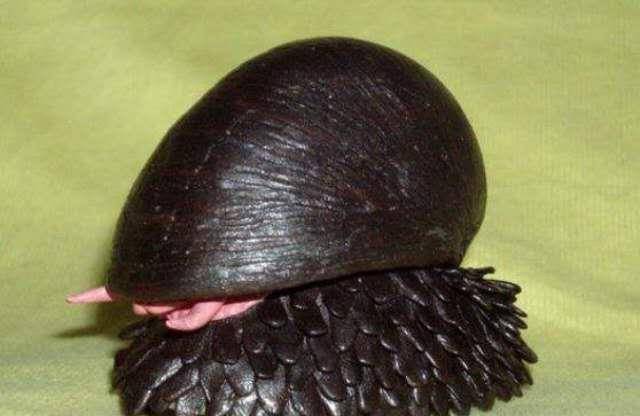 "铁甲海蜗牛"吸收海矿变身"铁甲",耐高温还防弹,已经被美军盯上