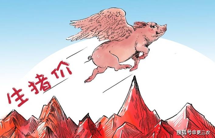 原创            涨了，猪价“涨翻天”！附：6月11日猪价行情-6月11日猪价下跌