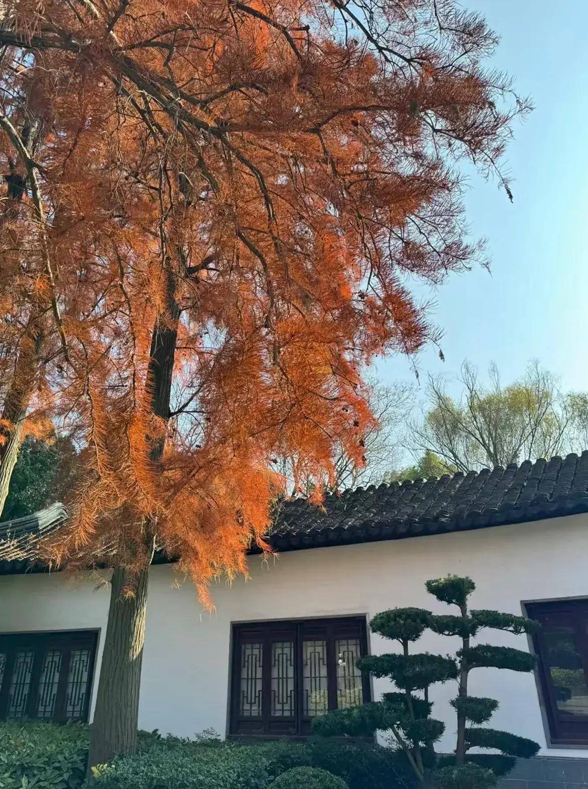 南通有哪些值得一去的地方