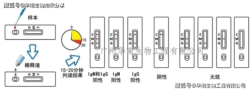 霍乱弧菌o139抗原快速检测试纸