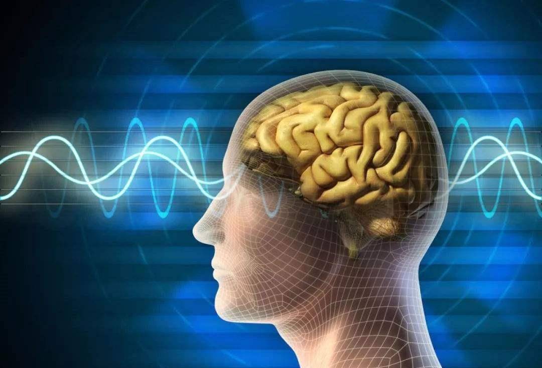 脑科专家告诉记者,脑磁图检测设备可以查出透视神童的真相.