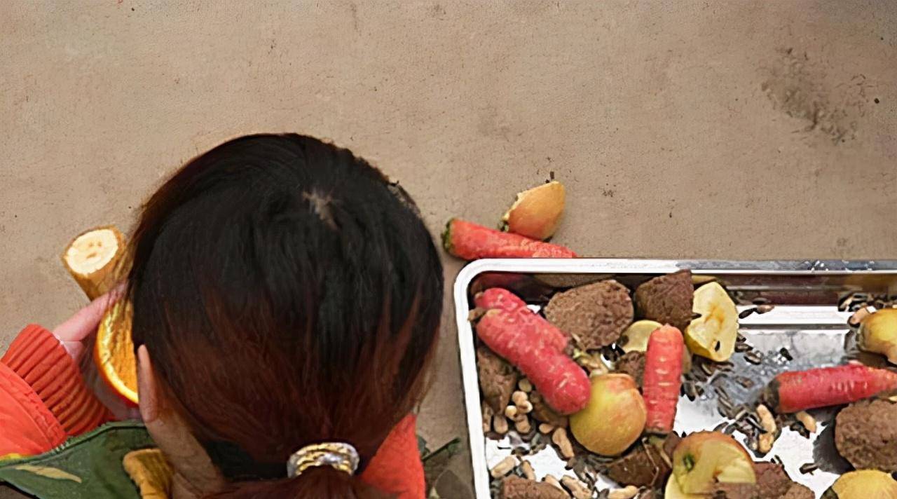 2007 年,西安动物园3男3女体验人猴同居生活,是耍猴还是耍人呢?