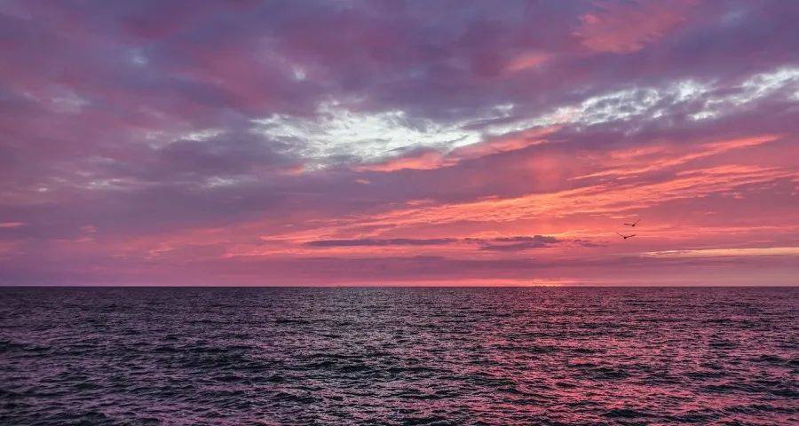 京东天猫们在家电业疯狂内卷还能持续多久?-家电圈官网