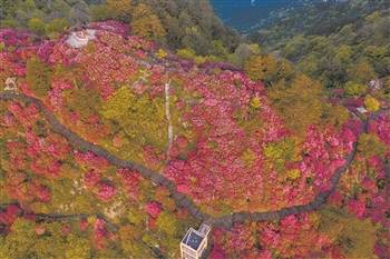 叶 影 摄合武铁路麻城北站地处大别山南麓,是连接武汉与华东地区主要