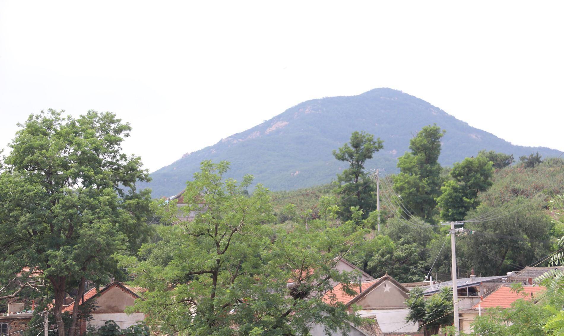 其中两棵保留到现在_高家沟_大槐树_村庄