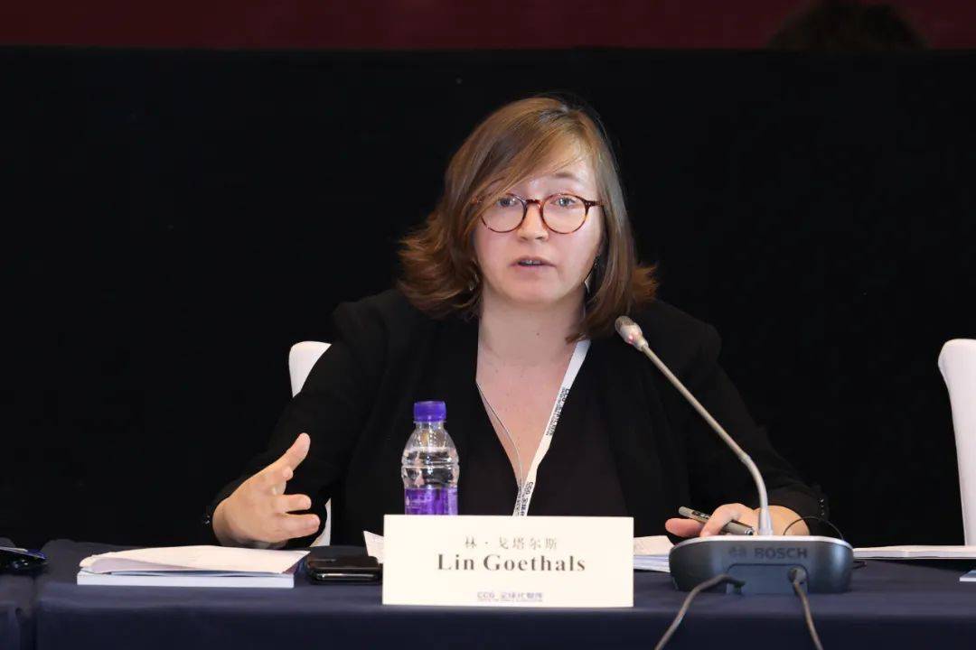 创始主任苏浩欧洲发展政策管理中心副主任马瑞拉·迪·西蒙(mariella