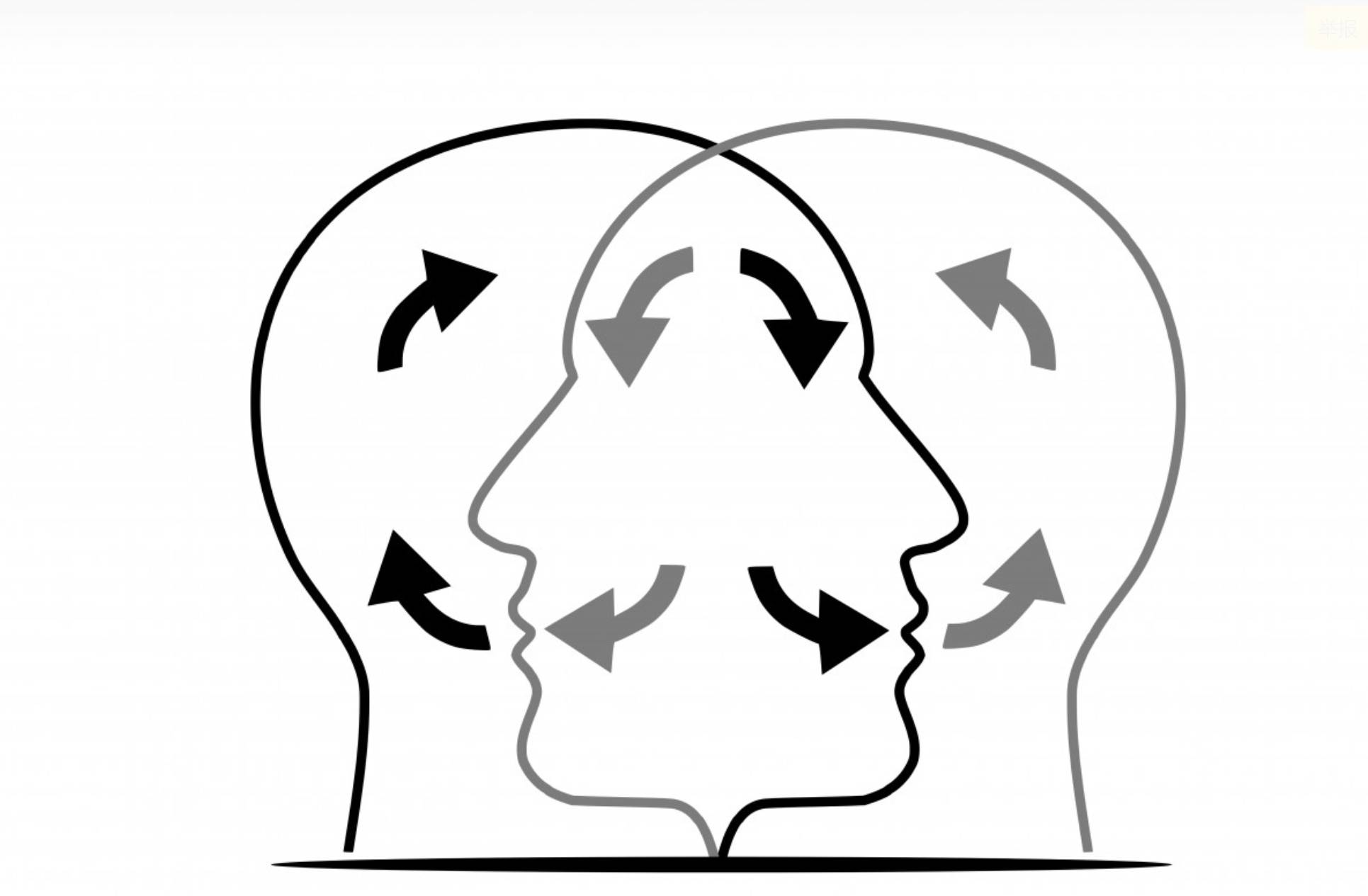 而人类的情感情绪等感知能力 ,对美对艺术的欣赏能力,复杂的精神世界