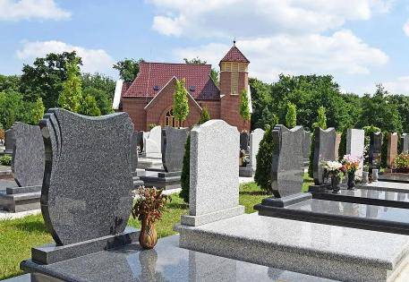 若后代子孙不续费,最终会如何处理?