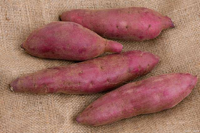 冬天吃红薯正当时,红薯的养生效果与吃法,不妨了解一下