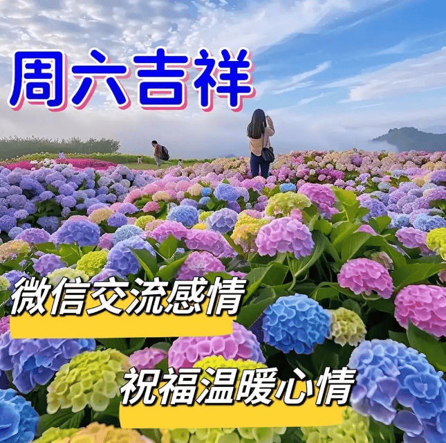 6月15日周六最美祝福图片,问候送温暖,祝福送吉祥,周末愉快!