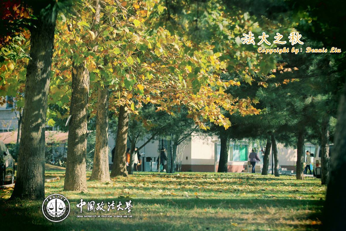 中国政法大学本硕连读班丨3 2法学人才培养班本硕连读