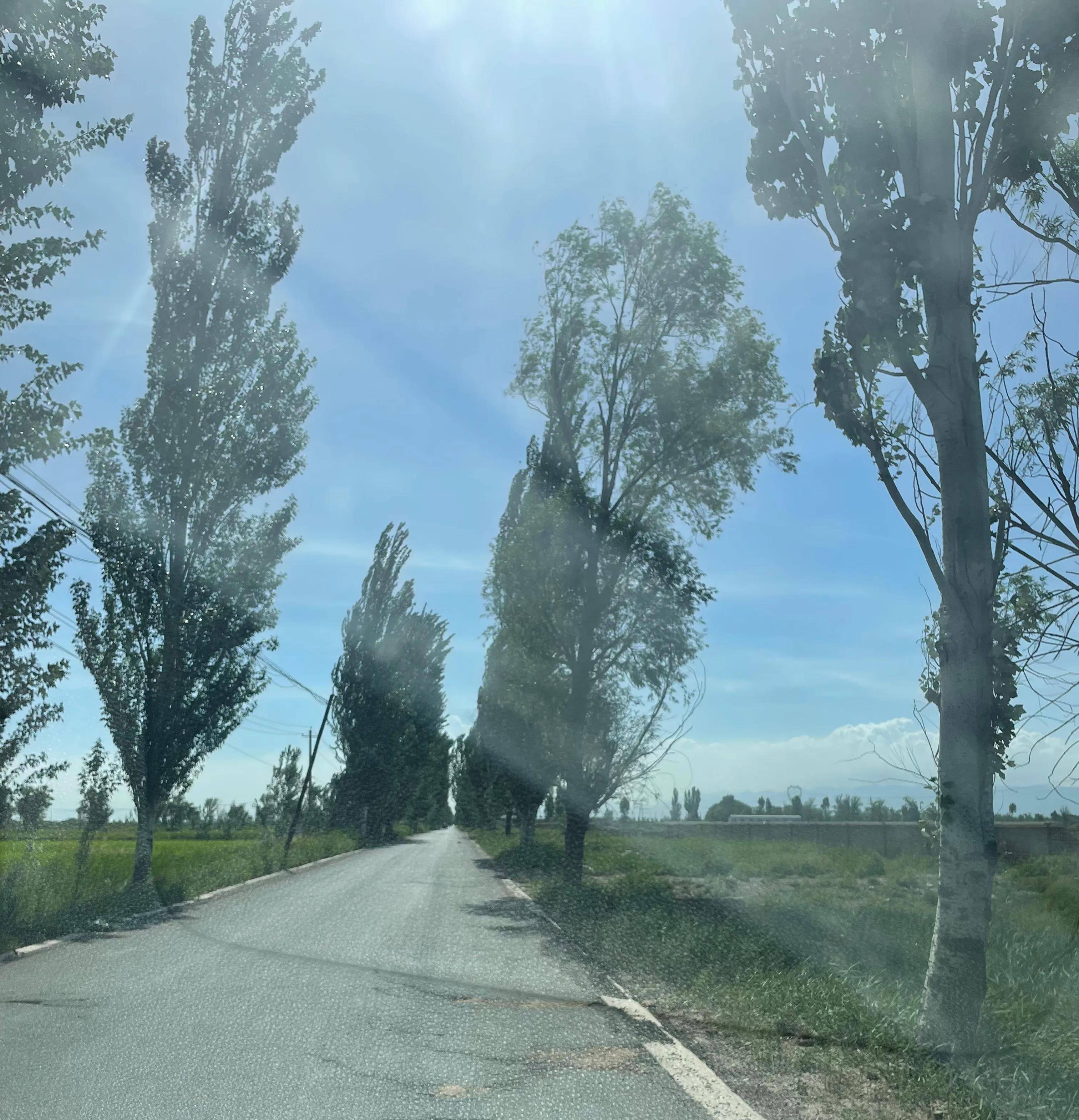 忻府区忻口镇高淤线张村到淤泥段去年新修的路,才一年不到坑坑洼洼