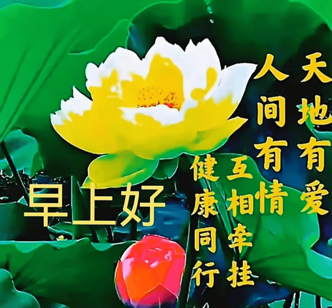 7张免打字好看的早上好祝福语漂亮图片带字