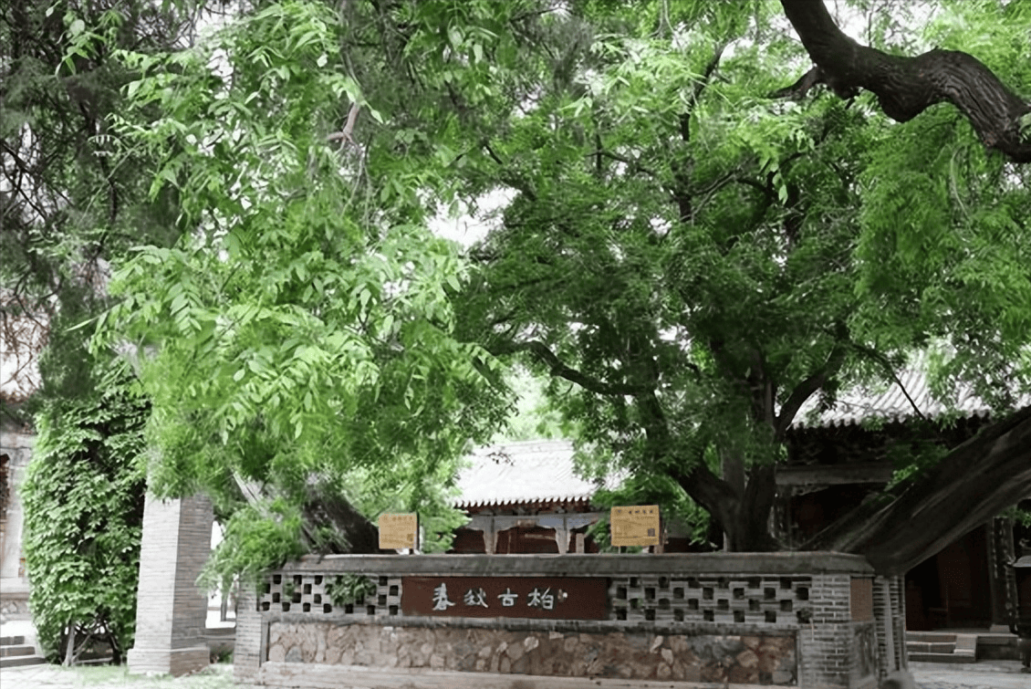 唐诗路上南郭寺(游记)