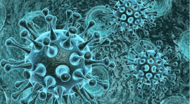 超声波清洗机哪家好用又实惠？四款亲测表现出色超声波清洗机安利