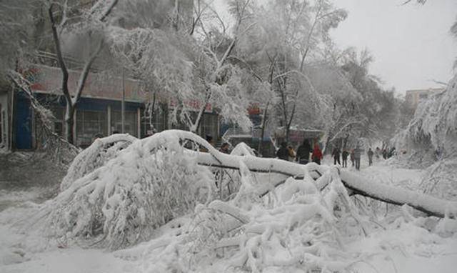 一场特大的雪灾席卷中国20个省区市,不少人被风雪所困_南方_大雪_灾害