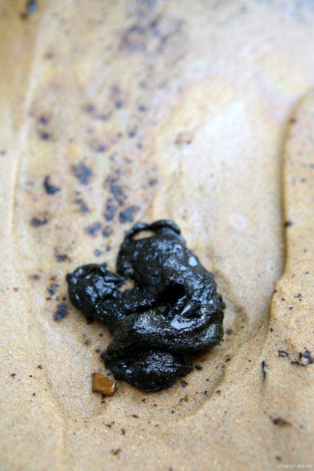鸡拉黑色焦油粪便怎么治疗?