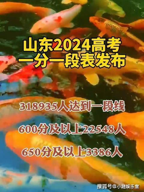 山东工艺美术学院专业分数线_山东工艺美术专业录取分数线_2024年山东工艺美术学院录取分数线及要求